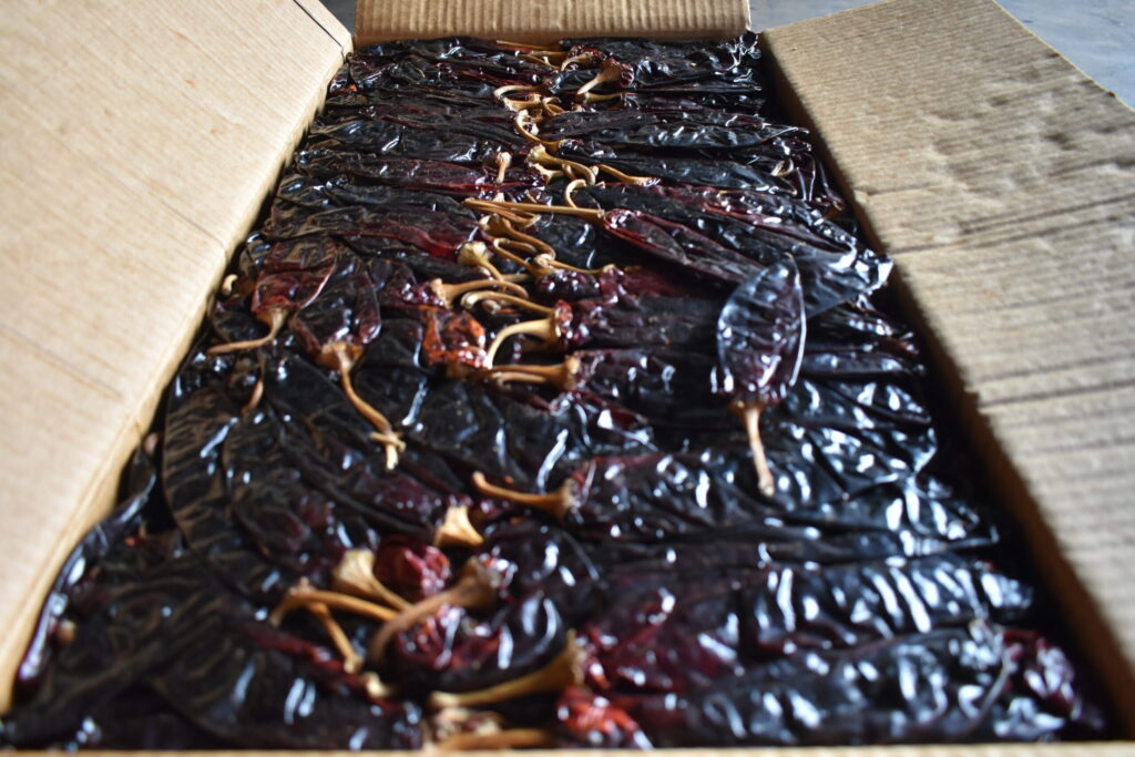 Chile Guajillo 25 Lb.
