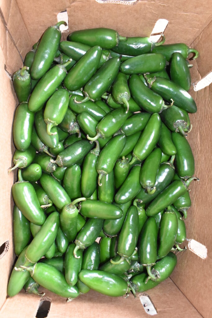 Jalapeno 35 Lbs.