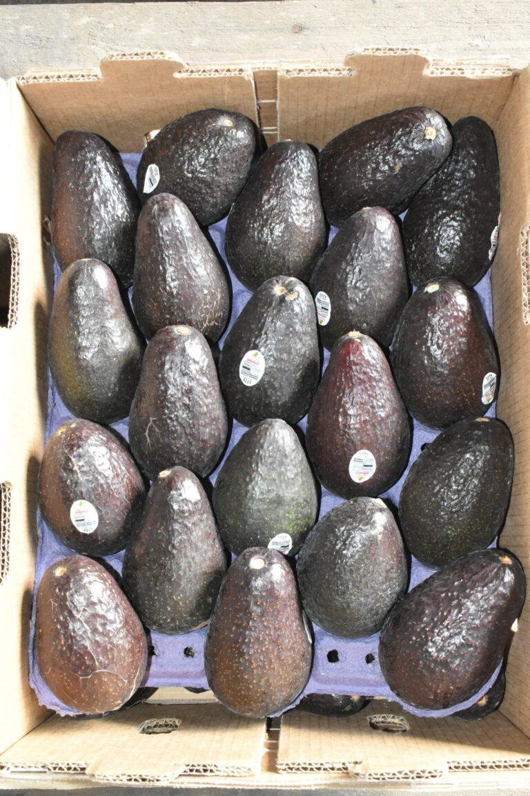 Aguacates Haas (40 aguacates)