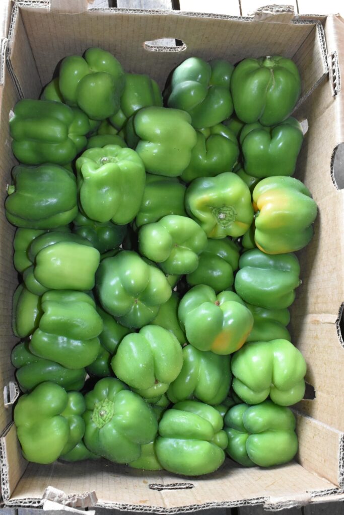 Bell Peppers 25 Lbs.