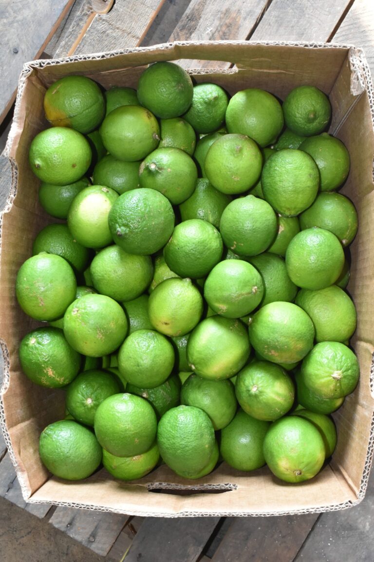 Limon Verde 175 Piezas