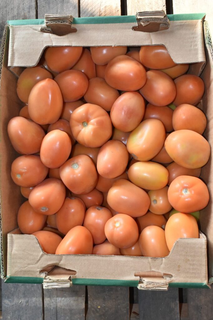 Tomate Roma 25 Lbs.