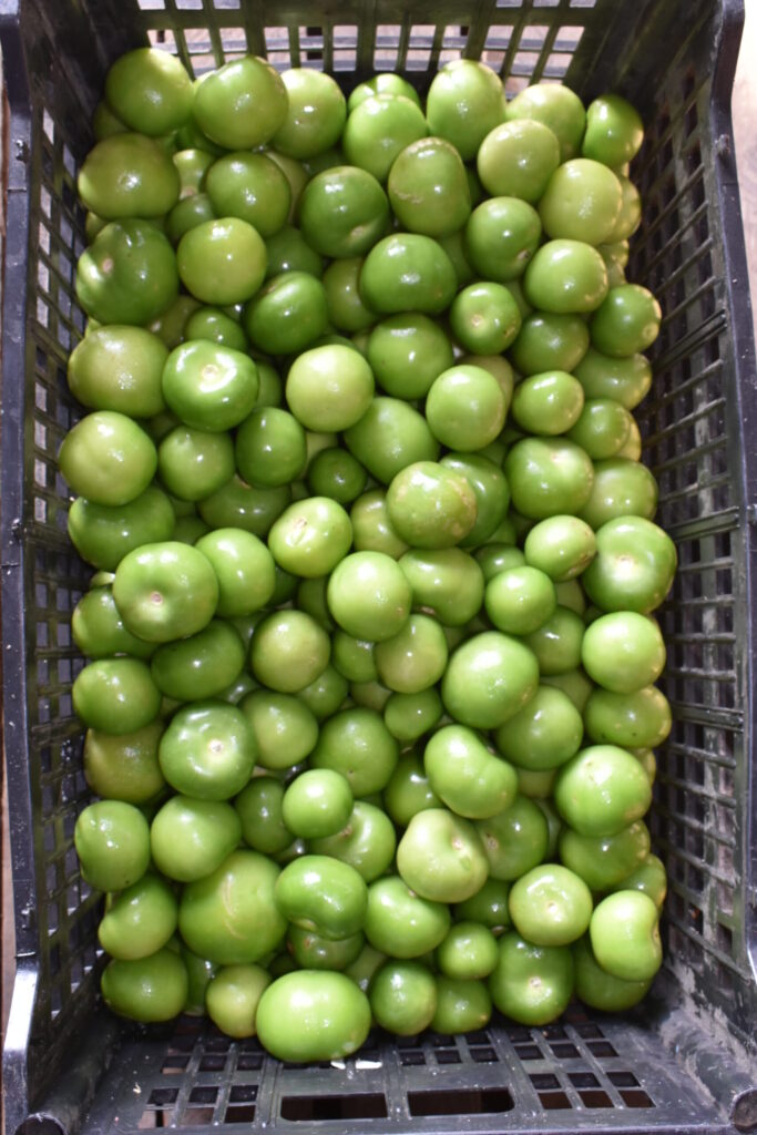 Tomatillo 35 Lbs.